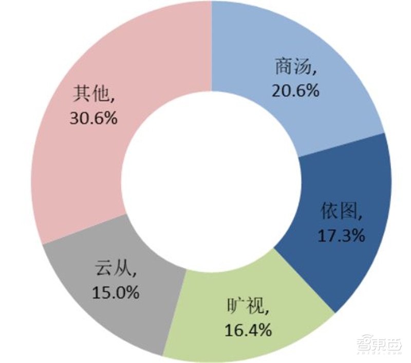 中国安防行业十年报告：产值增涨四倍！双巨头全球称雄【附】智东西内参(图42)