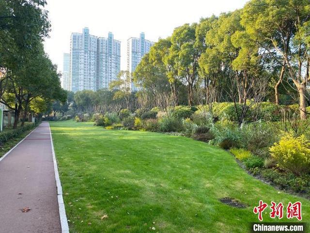 上海最大免费公园24小时开放公园与街区无界融合(图2)