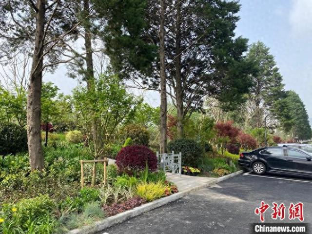 上海最大免费公园24小时开放公园与街区无界融合