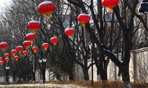 2024年出入控制系统行业现状及发展趋势分析(图7)