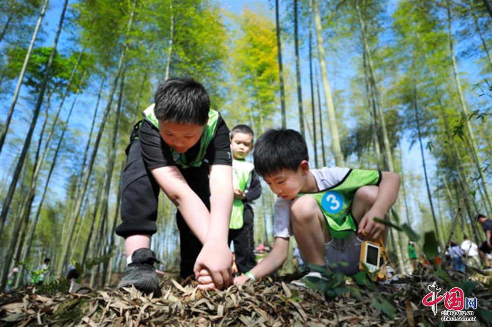 破茧终成蝶转型助发展——僰王山景区实现华丽蝶变(图3)