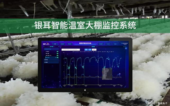 银耳智能温室大棚监控系统精准控制