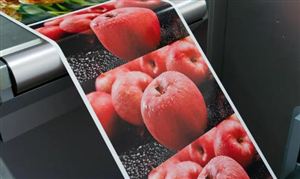 2024年中国安防智能化行业发展现状分析及未来展望(图5)