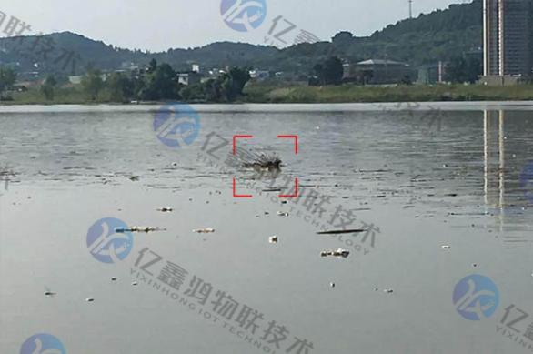 科技赋能：河面漂浮物检测系统守护水域生态之美(图3)