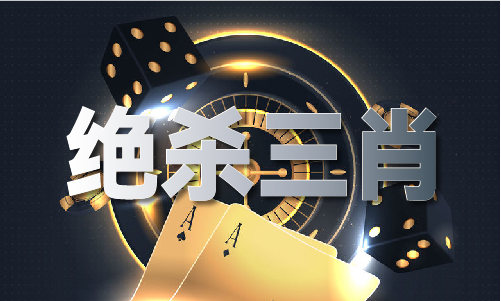 永久不变规律开肖公式_永久不变规律开肖公式V