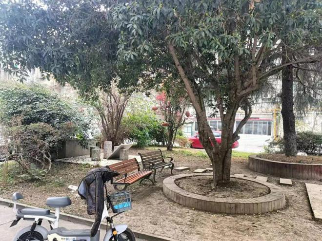 “逆龄”蜕变！2024年这些“小院”居民幸福感“旧地升温”(图6)