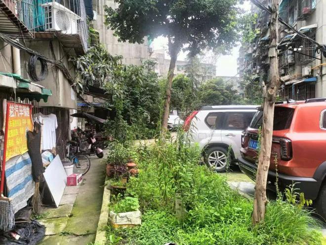 “逆龄”蜕变！2024年这些“小院”居民幸福感“旧地升温”(图9)