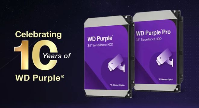 数智十年｜西部数据WDPurple系列用AI驱动城市智能监控发展(图1)