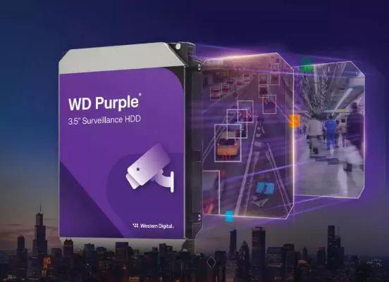 数智十年｜西部数据WDPurple系列用AI驱动城市智能监控发展(图12)