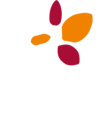 风险提示关于深交所发布《2024年04月24日重点监控证券名单》的通知（200426）(图1)