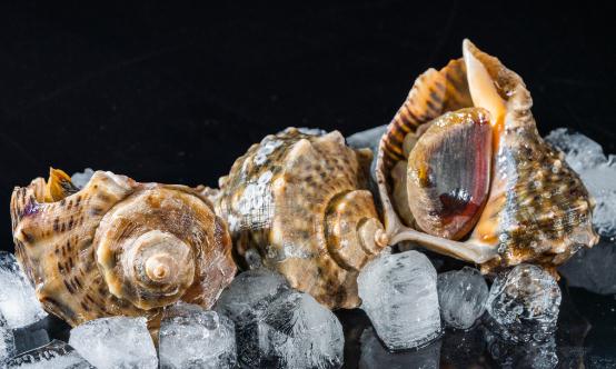 深度分析_中研普华行业研究网(图11)