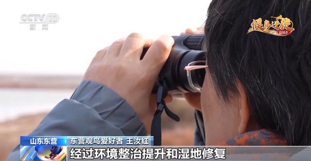 从窒息滩涂到“鸟类国际机场”黄河口湿地实现人与自然和谐共生
