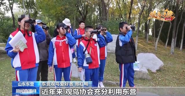 从窒息滩涂到“鸟类国际机场”黄河口湿地实现人与自然和谐共生(图3)