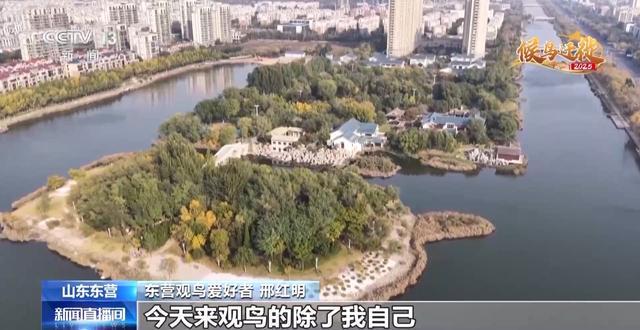 从窒息滩涂到“鸟类国际机场”黄河口湿地实现人与自然和谐共生(图2)