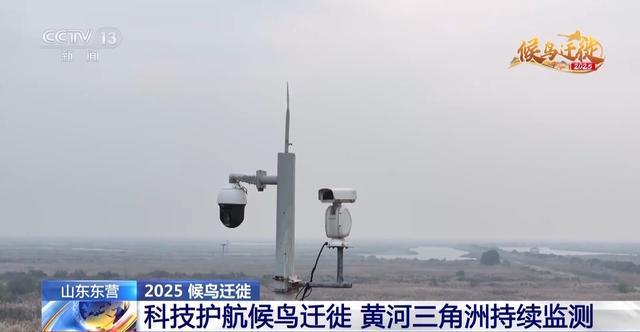从窒息滩涂到“鸟类国际机场”黄河口湿地实现人与自然和谐共生(图15)