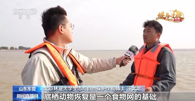 从窒息滩涂到“鸟类国际机场”黄河口湿地实现人与自然和谐共生(图18)