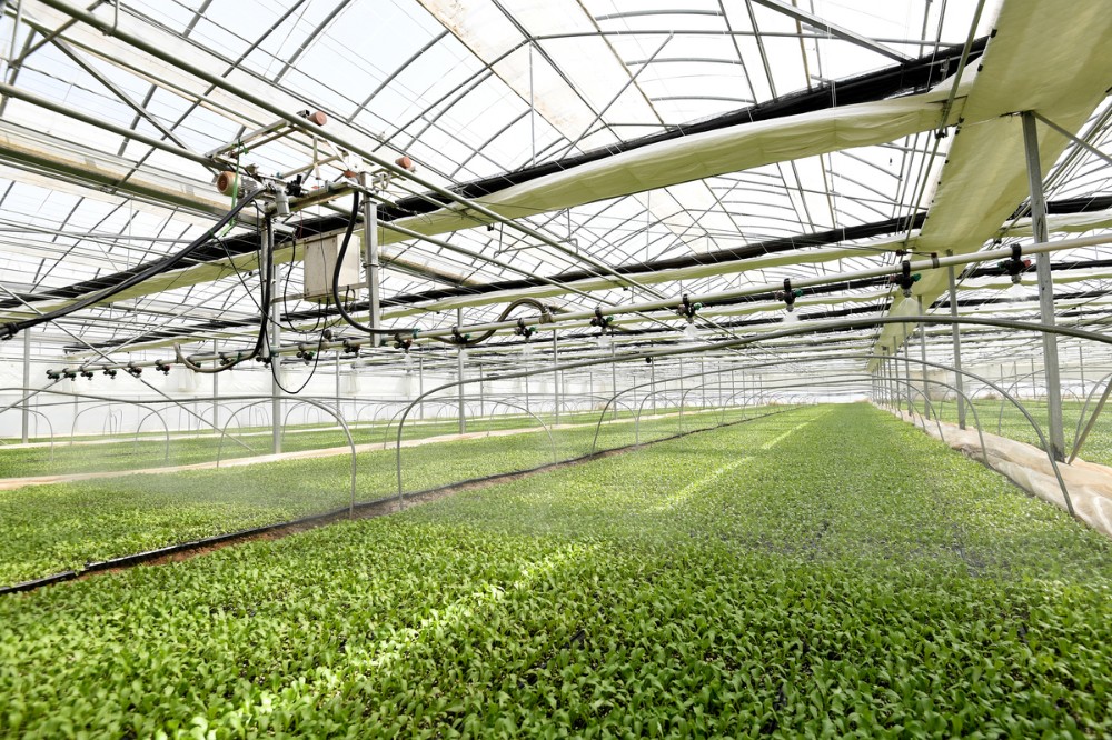 云端“智”控田间“慧”收——张家口智慧农业为乡村振兴赋能增效