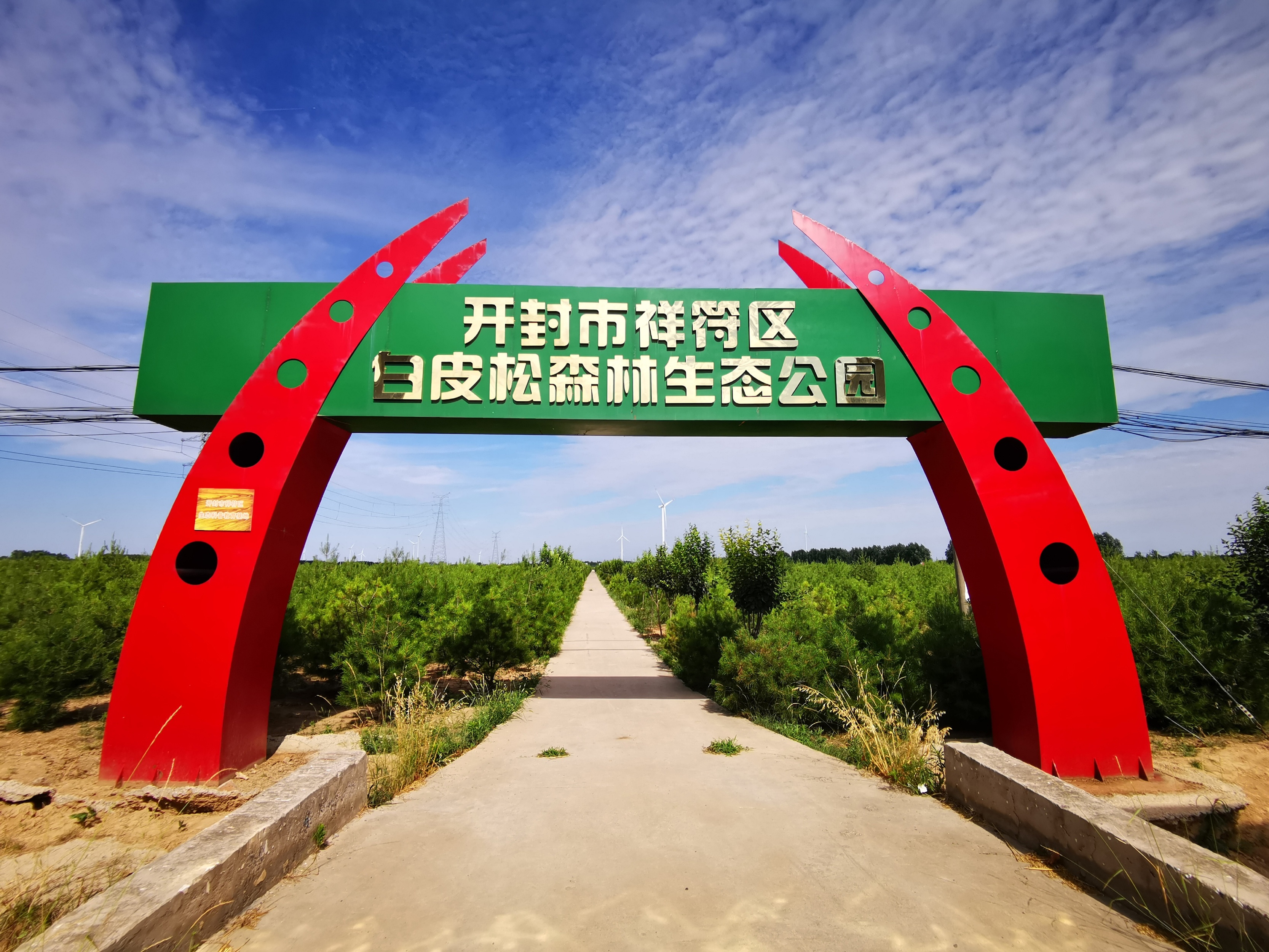 河南开封祥符区：扎牢防火网防范于未“燃”