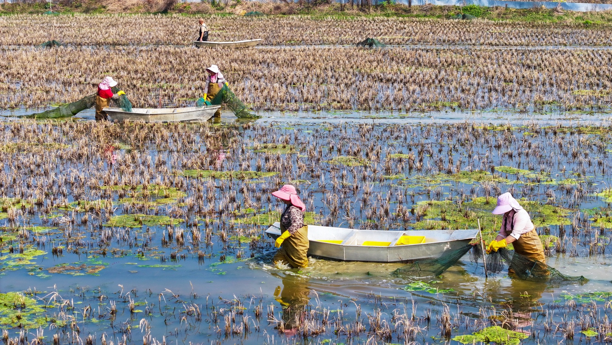 江西大余“赣南早虾”绘就致富新图景(图4)